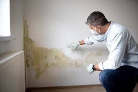 Best Biohazard Mold Removal in Smithville Sanders, IN